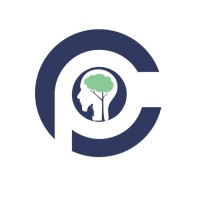 Current Phenomena logo - Similar company to Ice Student Chapter Umt