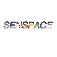SENSORY EVOLUTION logo - Similar company to Senspace