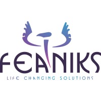 Feaniks Ltd logo - Similar company to Brand Ambition - Excite. Ignite. Explode.