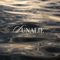 Sunalie logo - Similar company to Campus Studio