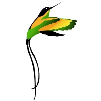 DoctorBird Ltd logo - Similar company to Domainagents Platform Inc.