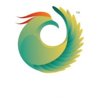 Feibao logo - Similar company to Swisstrategy