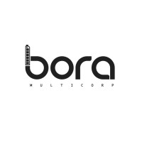 Bora Multicorp logo - Similar company to East Sun Electronics India Llp