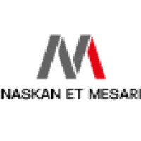 NASKAN & MESARI logo - Similar company to 3D Solutions-Dz