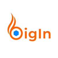 BigIn logo - Similar company to Armara