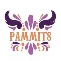 PAMMITS logo - Similar company to Supermath 9