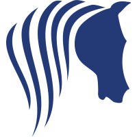 BRS Africa logo - Similar company to Dms Translog