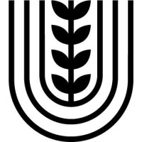 Focus Localis logo - Similar company to Checkfin Oy