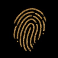 Midas Brands, Inc logo - Similar company to Stimara