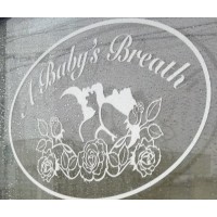 A Baby's Breath