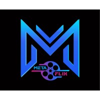 MetaFlix logo - Similar company to Metaflix