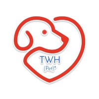 The Willow Health bv logo - Similar company to 5:01 Recruitment