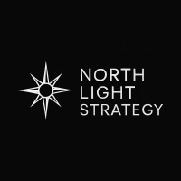 North Light Strategy logo - Similar company to The Spill Teem®