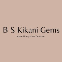 B S Kikani Gems logo - Similar company to Kimberfire