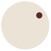 Spolia Studio logo - Similar company to Brøn Studio