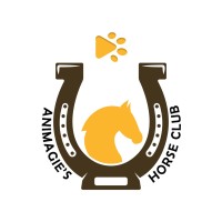Animagie Horse Official logo - Similar company to Infinity Analytics