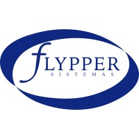 Flypper Sistemas - Soluções Empresariais logo - Similar company to Dois