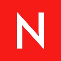 Netson logo - Similar company to Wsaitec