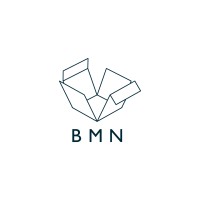BMN logo - Similar company to Adn Sustentable