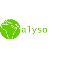 Alyso Consulting Sénégal logo - Similar company to Cpfp Hrs Mbour