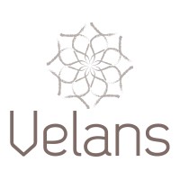 Velans logo - Similar company to Velans Distribuidora Ti Telecom E Cloud