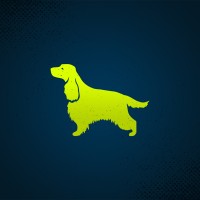 Dog Walking Daily logo - Similar company to Dog Walker & Pet Sitter