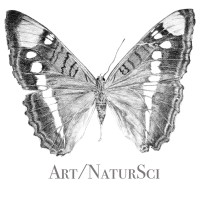 Art Science Exhibits