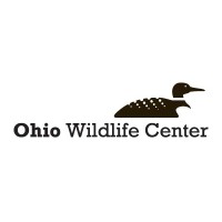 Ohio Wildlife Center