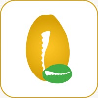 Lebalma logo - Similar company to Ncb Conseils