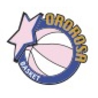 Ororosa Basket Bergamo logo - Similar company to Milano Basket Stars