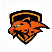 Team Vegavath Racing logo - Similar company to Codechef Pesuecc
