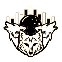 WPAT Finance logo - Similar company to Pt Fintech