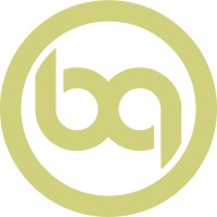Bettering Partners logo - Similar company to Luceed