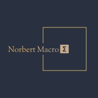 Norbert Macro logo - Similar company to Theseus Global Macro