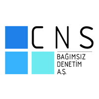 CNS Bağımsız Denetim AŞ (Member of MSI Global Alliance) logo - Similar company to Consultas Llc