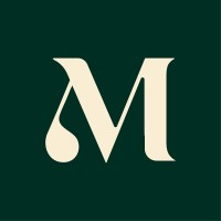Messon Group logo - Similar company to Trevisy Sdn Bhd