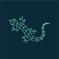 Astral Forest logo - Similar company to Elitmind