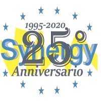 Synergy S.r.l. logo - Similar company to Ferrit Group