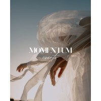 Momentum Events & Design logo - Similar company to Pansolar