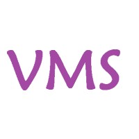 VMS logo - Similar company to Vms Construction Bois