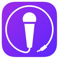 Singify logo - Similar company to Expert Republic