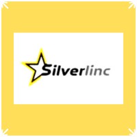 silverlinc_Solutions logo - Similar company to Silverlinc