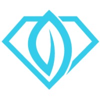 Blue Diamond Carbon Co Inc