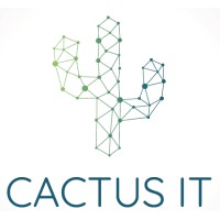 CACTUS IT logo - Similar company to Cactus Info