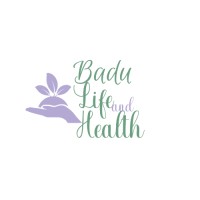 Badu Life and Health Solutions, LLC logo - Similar company to Turnover.Services