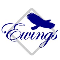 EAGLE WINGS ENTERPRISES logo - Similar company to Alphaflight Defense & Technologies