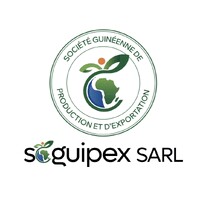 SOGUIPEX GUINÉE logo - Similar company to Socop Construction & Promotion