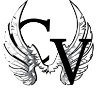 Creative Vixstory logo - Similar company to Hashtag Amplified