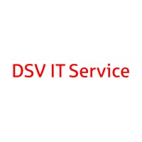 DSV IT Service GmbH logo - Similar company to Nubotech Solutions