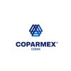COPARMEX Ciudad de México logo - Similar company to Galaxie Experiences